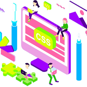 web-site web-site